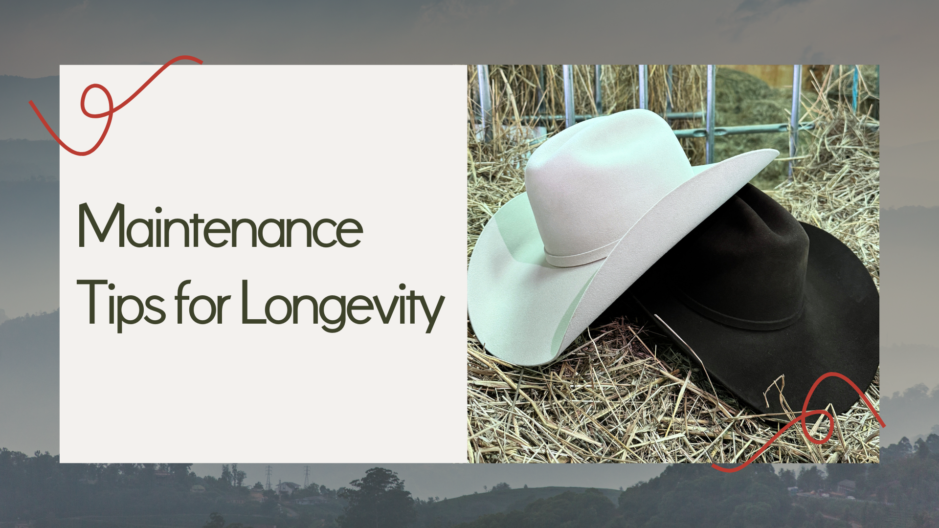 Caring for Your Twinstone Hat: Maintenance Tips for Longevity