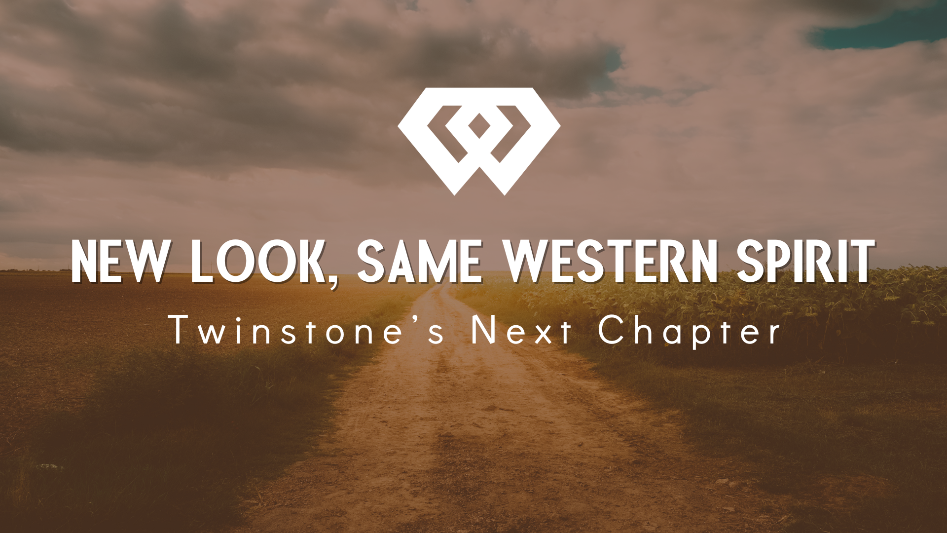 A New Era for Twinstone: The Vision Behind Our Logo Refresh