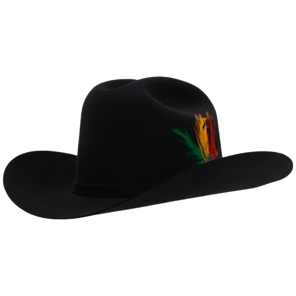 6A, Feather, Black, Rancher, Hat, Western Hat, 3 ½ inches, President, Cowboy Hat, Cowgirl Hat, Fur Felts, Men's Hats, Women's Hat, Western, Western Felts